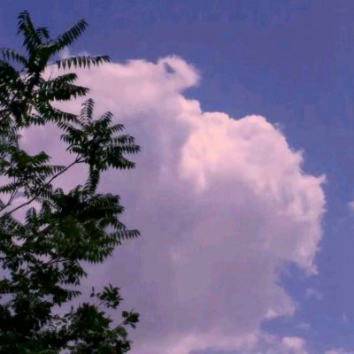 米乐下载地址下载手机版截图